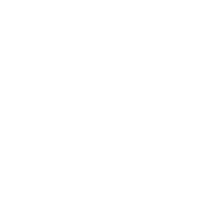 LinkedIn icon