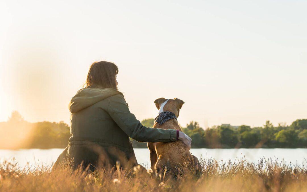 Image of a peaceful woman sitting on a the ground next to a lake with a dog sitting beside her. Find peace and overcome rejection sensitivity dysphoria with the support of DBT used in an adult intensive outpatient program in Houston, TX.