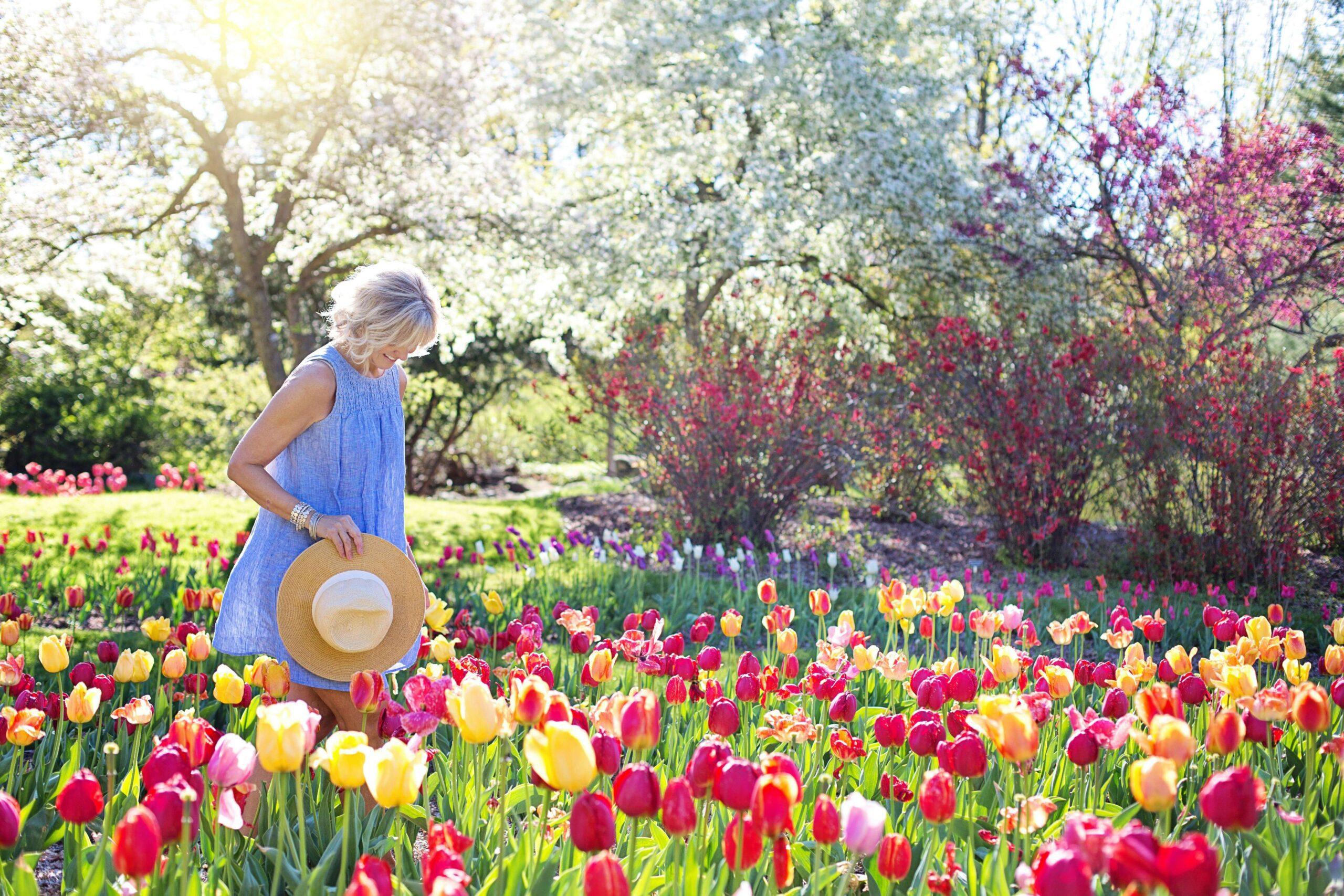 tulips | perfectionism treatment in houston, tx | ocpd perfectionism | overcoming perfectionism | coping with perfectionism | Houston | Midtown | Southside Place Happy woman walking through a patch of colorful tulips on a sunny day. Learn to break free from your perfectionistic thinking and start healing with the help of perfectionism treatment in Houston, TX.
