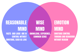 two circles one blue labelled Reasonable Mind, one pink labelled emotion mind and the overlap between the two is Wise mind